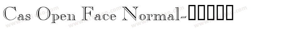 Cas Open Face Normal字体转换